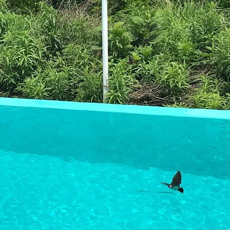 Jeju 2Jj Hotell Seogwipo Eksteriør bilde