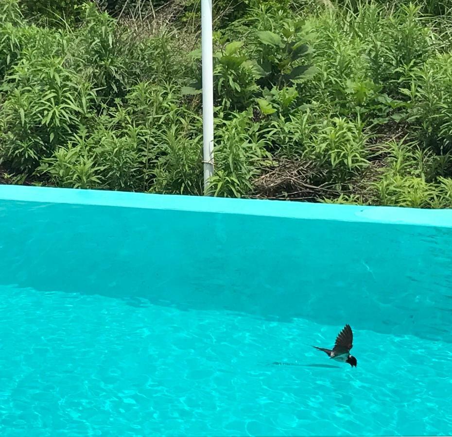 Jeju 2Jj Hotell Seogwipo Eksteriør bilde